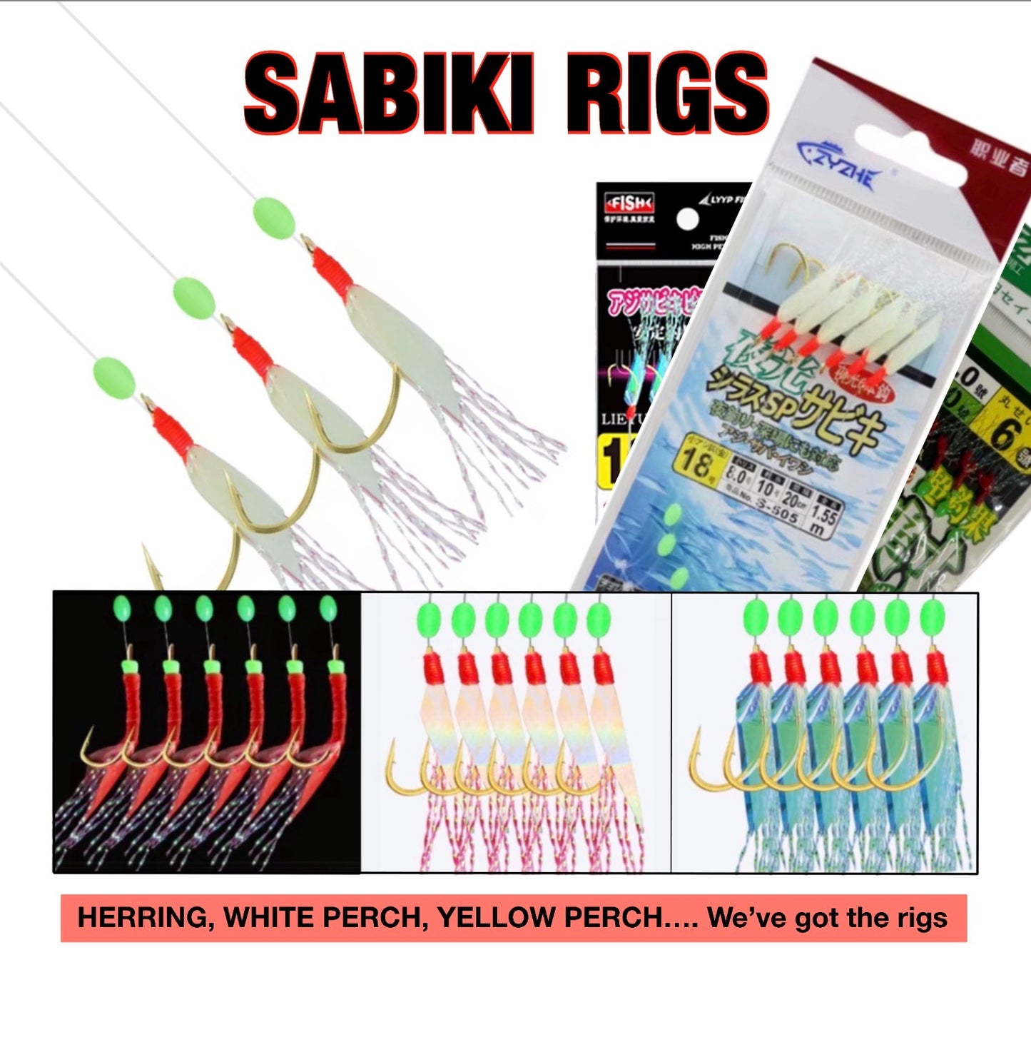 SABIKI RIGS